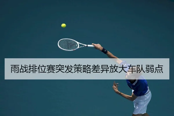 雨战排位赛突发策略差异放大车队弱点（LeyuSports）